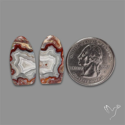 Crazylace Agate Pair