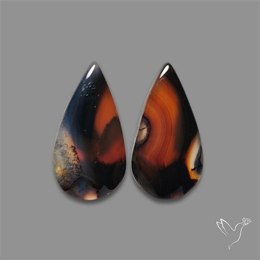 Montana Agate Pair
