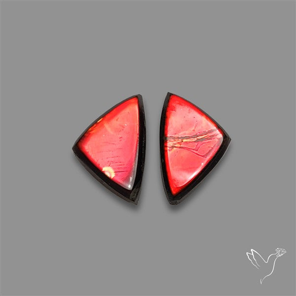 Ammolite Pair
