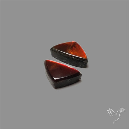 Ammolite Pair