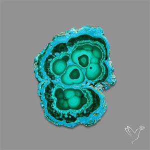 Rare Chrysocolla Malachite Stalacite Slice Selected Patterns