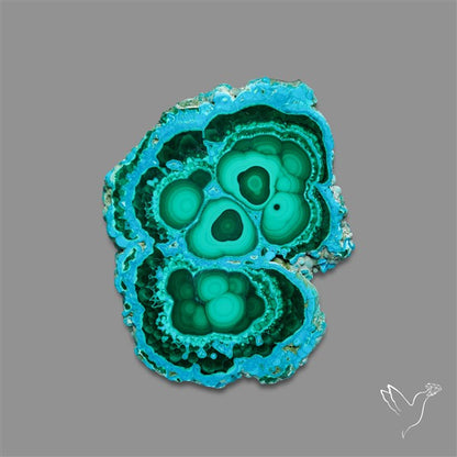 Rare Chrysocolla Malachite Stalacite Slice Selected Patterns