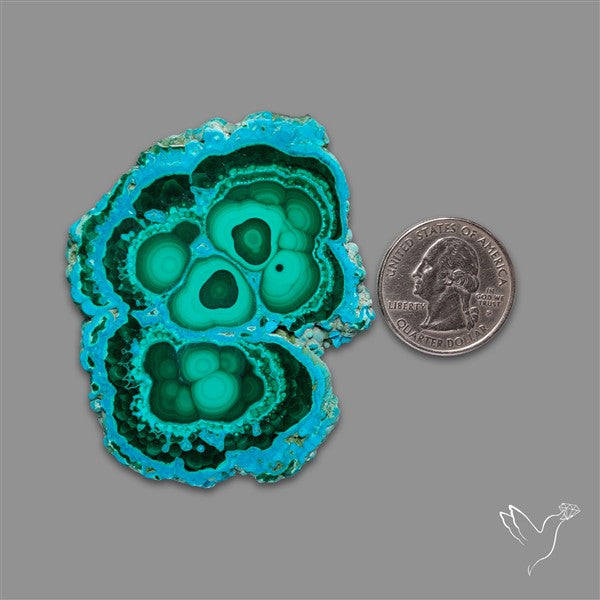 Rare Chrysocolla Malachite Stalacite Slice Selected Patterns