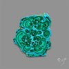 Rare Chrysocolla Malachite Stalacite Slice Selected Patterns