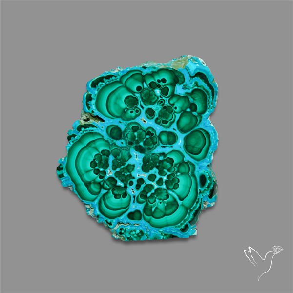 Rare Chrysocolla Malachite Stalacite Slice Selected Patterns