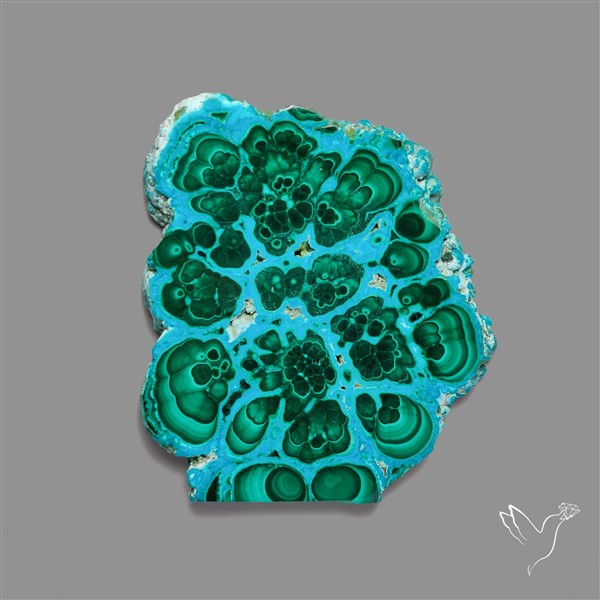 Rare Chrysocolla Malachite Stalacite Slice Selected Patterns