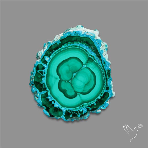 Rare Chrysocolla Malachite Stalacite Slice Selected Patterns