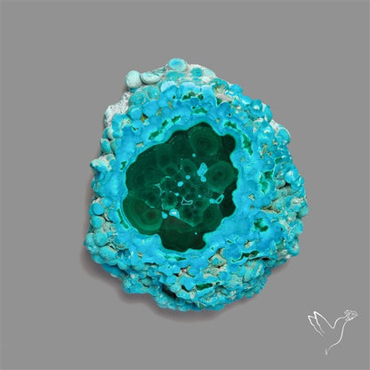 Rare Chrysocolla Malachite Stalacite Slice Selected Patterns