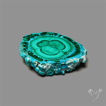 Rare Chrysocolla Malachite Stalacite Slice Selected Patterns