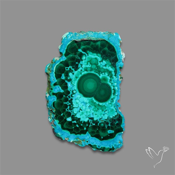 Rare Chrysocolla Malachite Stalacite Slice Selected Patterns