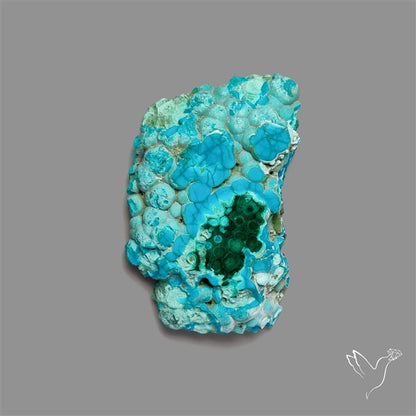Rare Chrysocolla Malachite Stalacite Slice Selected Patterns