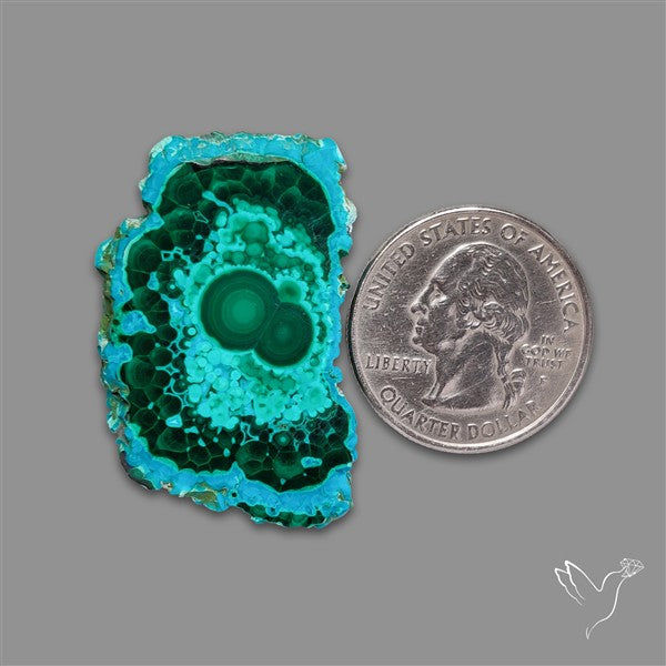 Rare Chrysocolla Malachite Stalacite Slice Selected Patterns