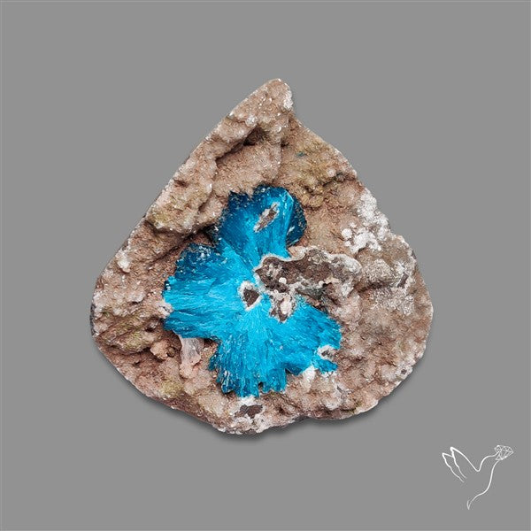Large Cavansite Druzy Specimen with Flat Backs