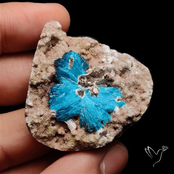 Large Cavansite Druzy Specimen with Flat Backs