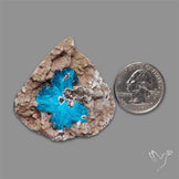 Large Cavansite Druzy Specimen with Flat Backs