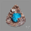 Large Cavansite Druzy Specimen with Flat Backs