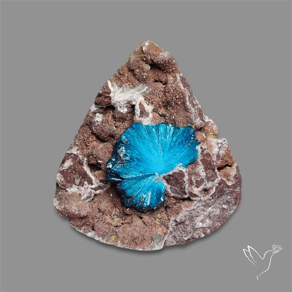 Large Cavansite Druzy Specimen with Flat Backs