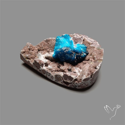 Large Cavansite Druzy Specimen with Flat Backs