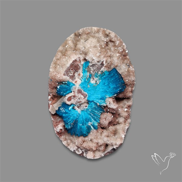 Large Cavansite Druzy Specimen with Flat Backs