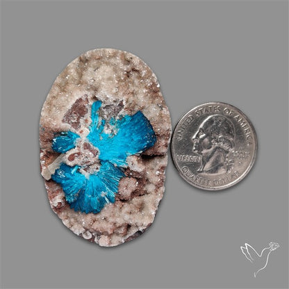 Large Cavansite Druzy Specimen with Flat Backs