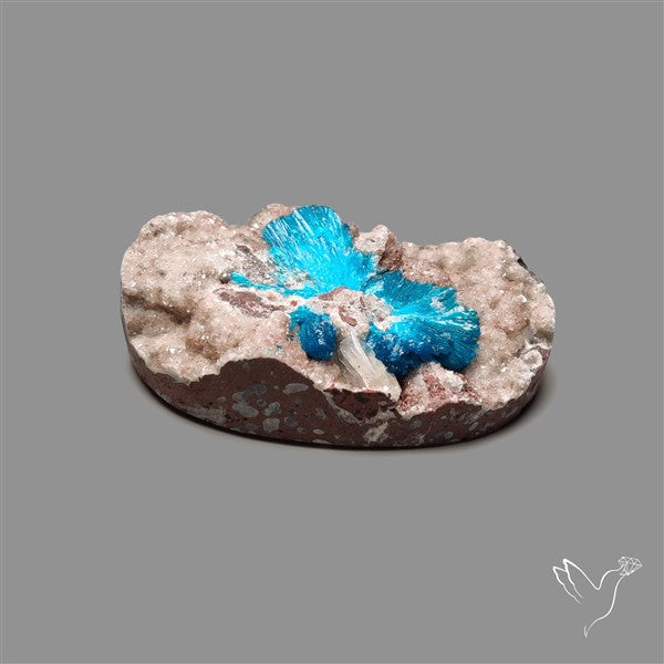 Large Cavansite Druzy Specimen with Flat Backs