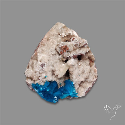 Large Cavansite Druzy Specimen with Flat Backs