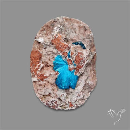 Large Cavansite Druzy Specimen with Flat Backs