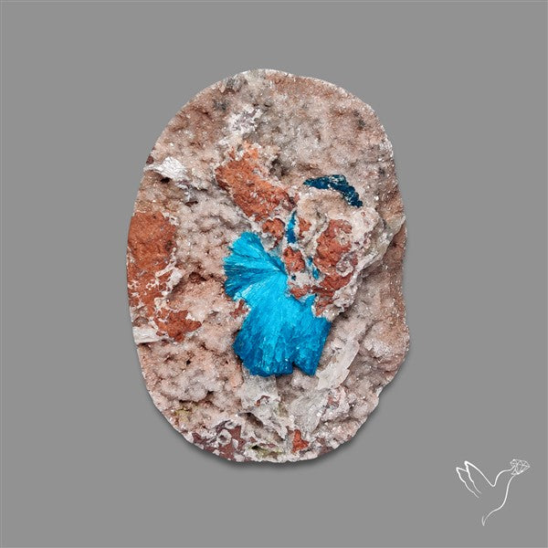 Large Cavansite Druzy Specimen with Flat Backs