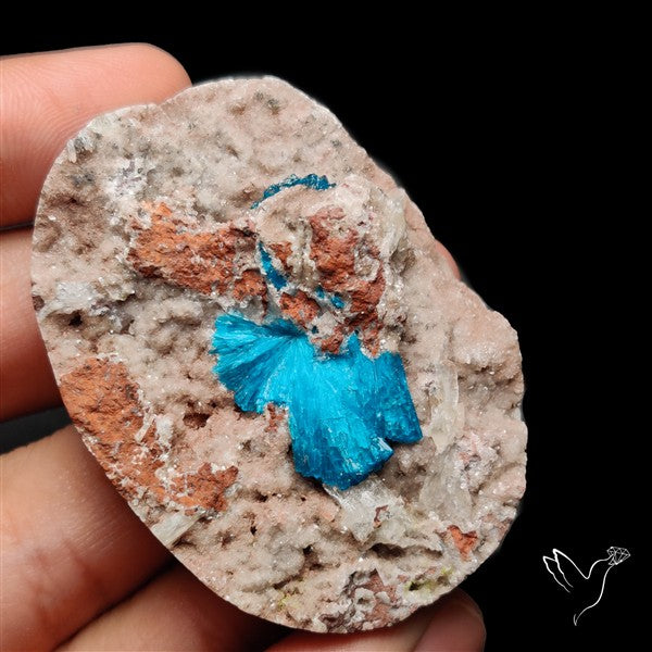 Large Cavansite Druzy Specimen with Flat Backs