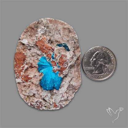 Large Cavansite Druzy Specimen with Flat Backs