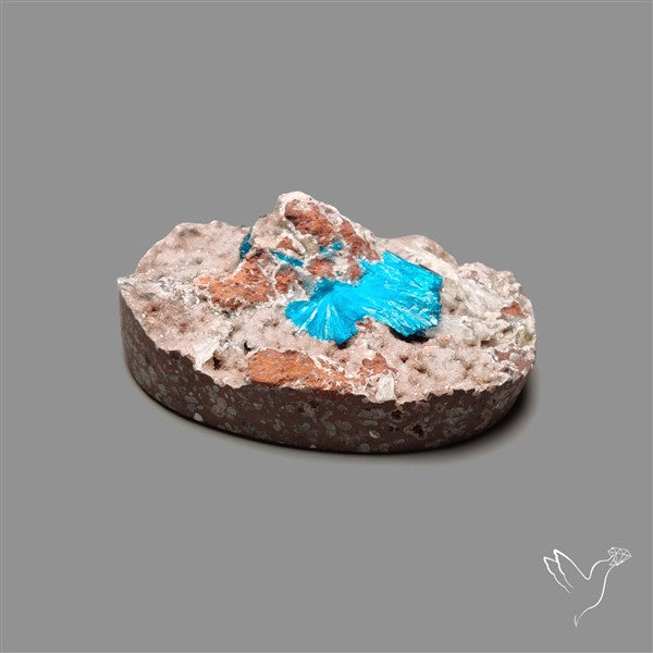 Large Cavansite Druzy Specimen with Flat Backs