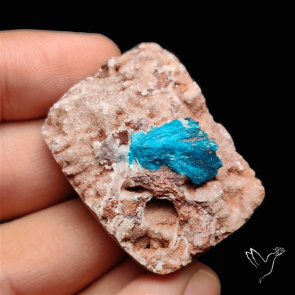 Large Cavansite Druzy Specimen with Flat Backs