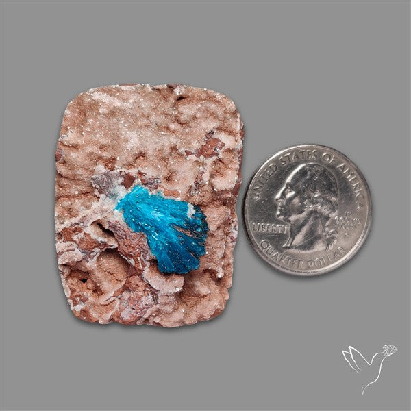 Large Cavansite Druzy Specimen with Flat Backs