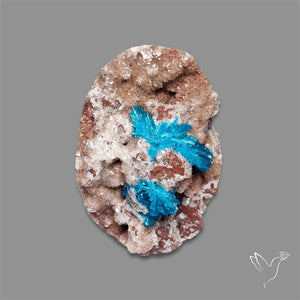 Large Cavansite Druzy Specimen with Flat Backs