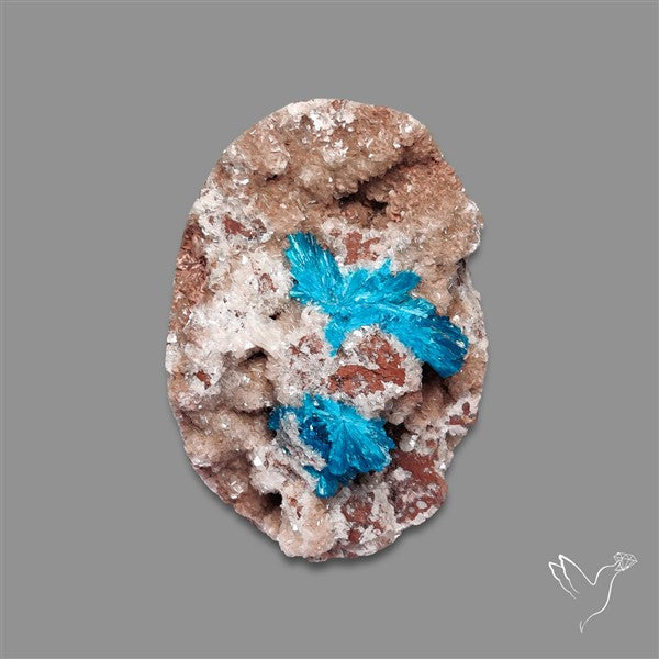 Large Cavansite Druzy Specimen with Flat Backs