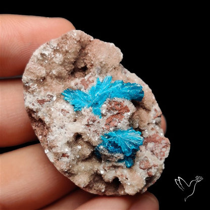 Large Cavansite Druzy Specimen with Flat Backs