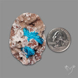 Large Cavansite Druzy Specimen with Flat Backs