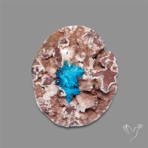 Large Cavansite Druzy Specimen with Flat Backs