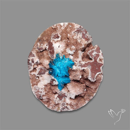 Large Cavansite Druzy Specimen with Flat Backs