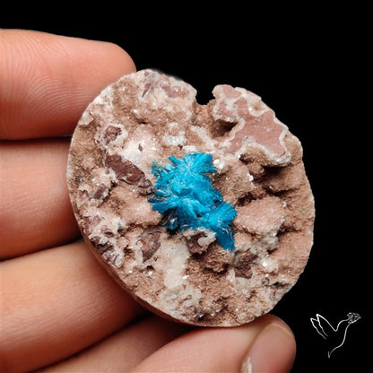 Large Cavansite Druzy Specimen with Flat Backs
