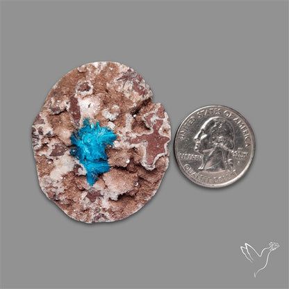 Large Cavansite Druzy Specimen with Flat Backs