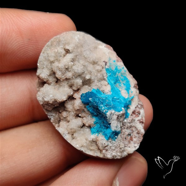 Large Cavansite Druzy Specimen with Flat Backs