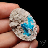 Large Cavansite Druzy Specimen with Flat Backs