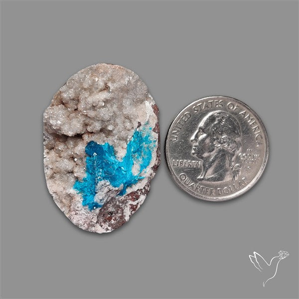 Large Cavansite Druzy Specimen with Flat Backs