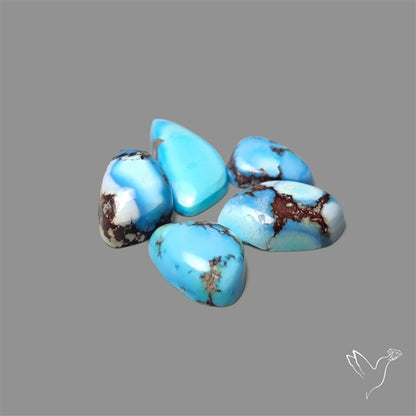 Rare Golden Hill Turquoise Smalls Lot