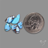 Rare Golden Hill Turquoise Smalls Lot
