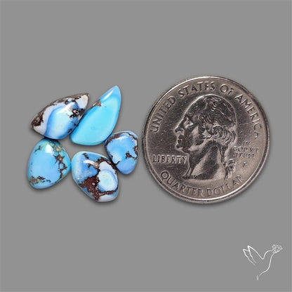 Rare Golden Hill Turquoise Smalls Lot