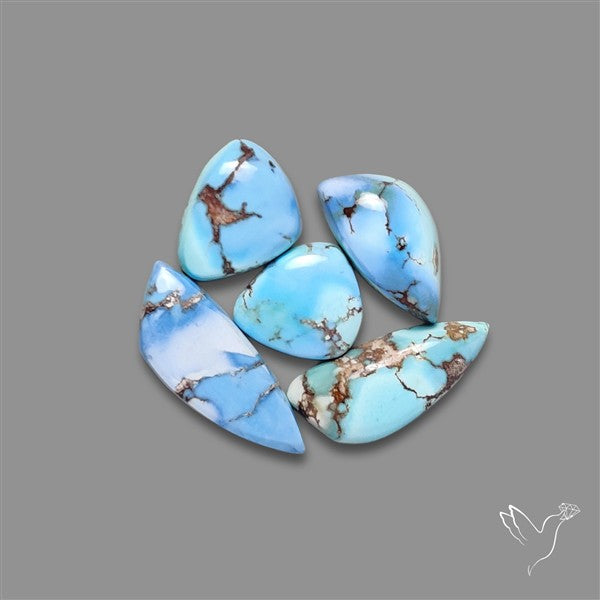 Rare Golden Hill Turquoise Smalls Lot