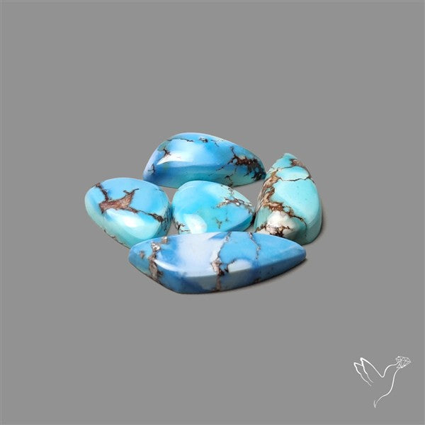 Rare Golden Hill Turquoise Smalls Lot