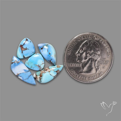 Rare Golden Hill Turquoise Smalls Lot
